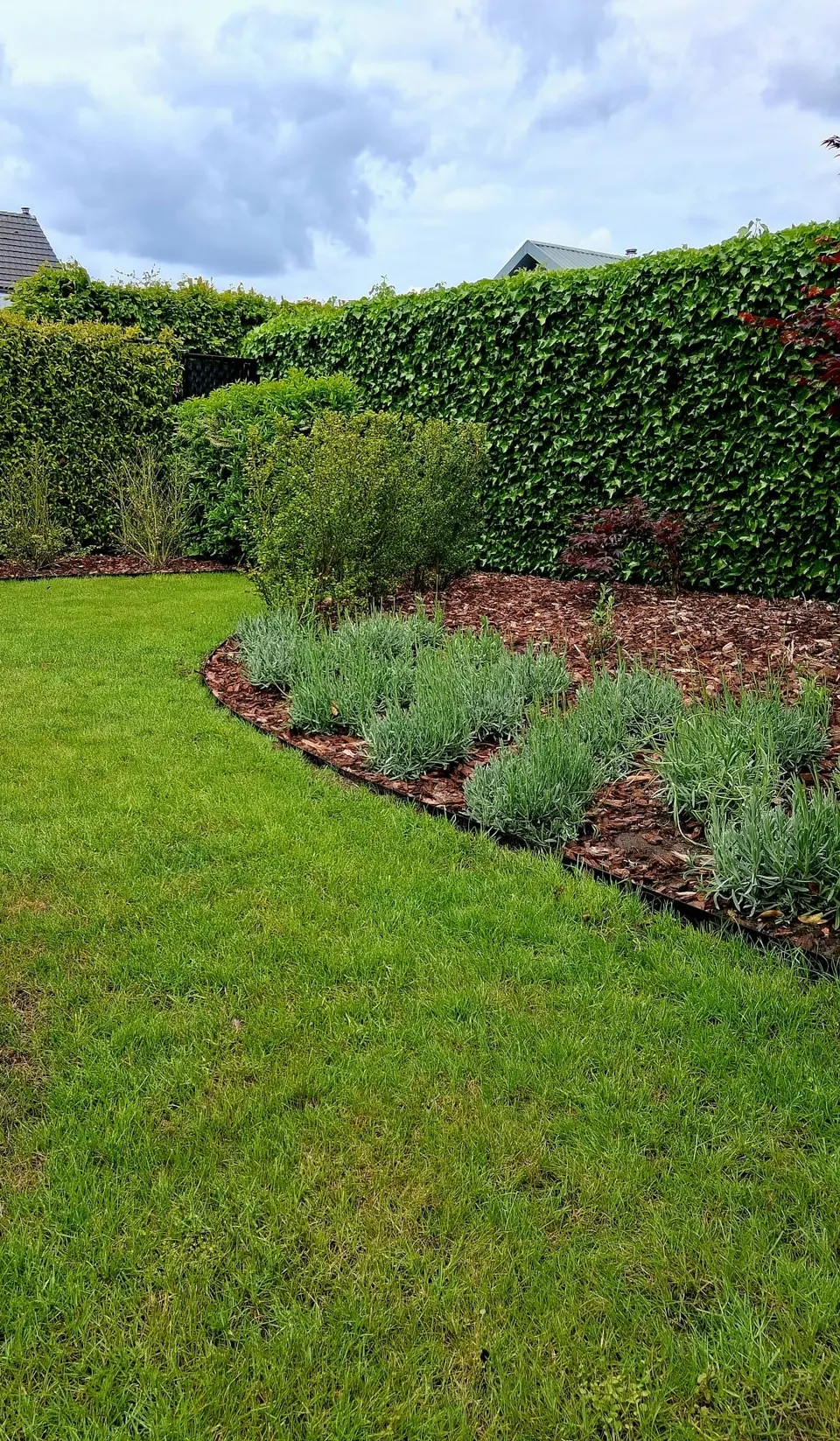 Gebogen border met tuinafboording in een gazon