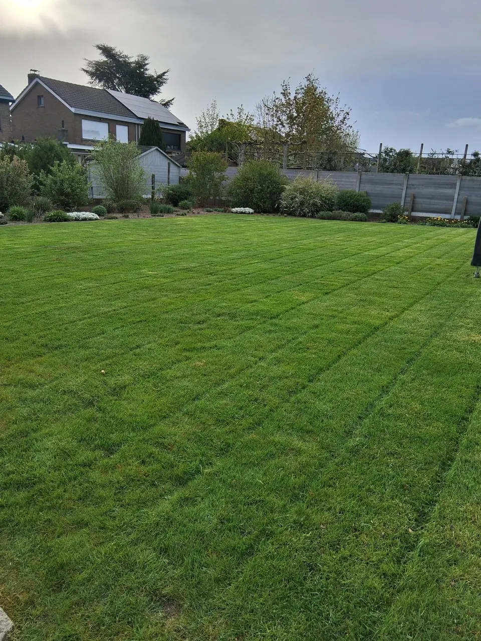 Ruim gemaaid gazon met strepen achter een woning