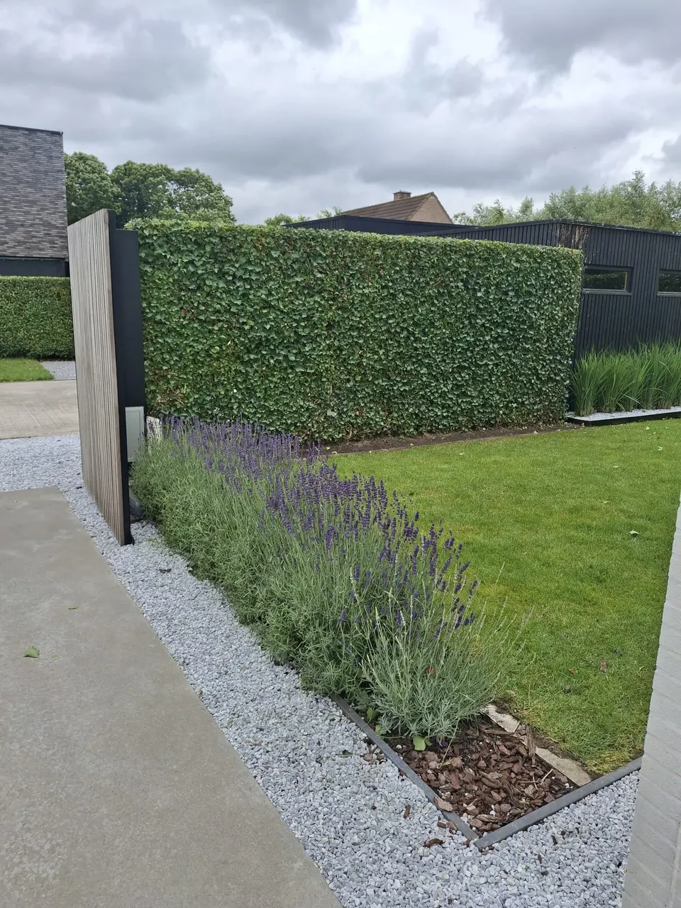 Strook lavendel langs een klimophaag en een grindpad met stalen boordrand