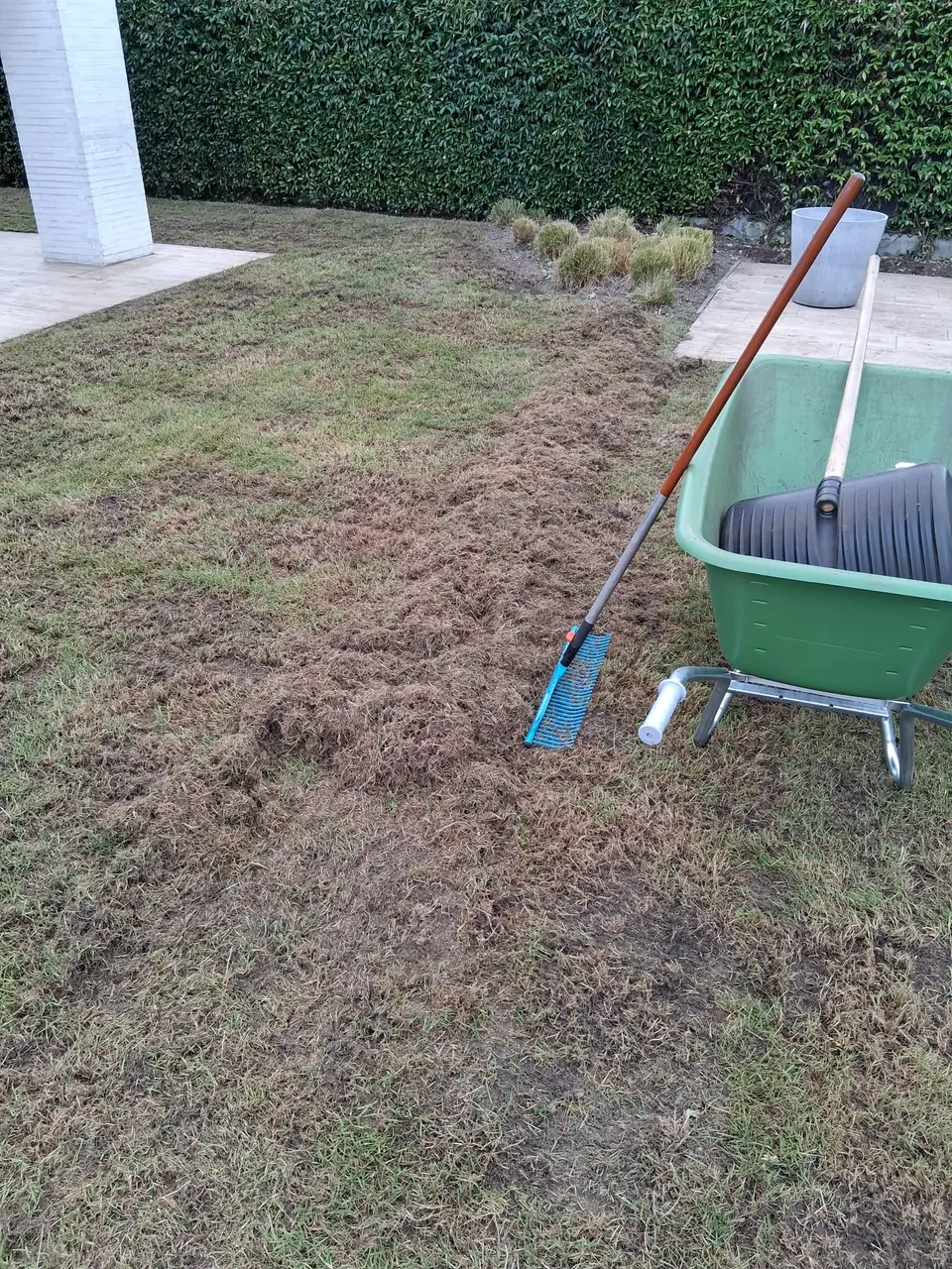 Geverticuteerd gazon met een kruiwagen en hark