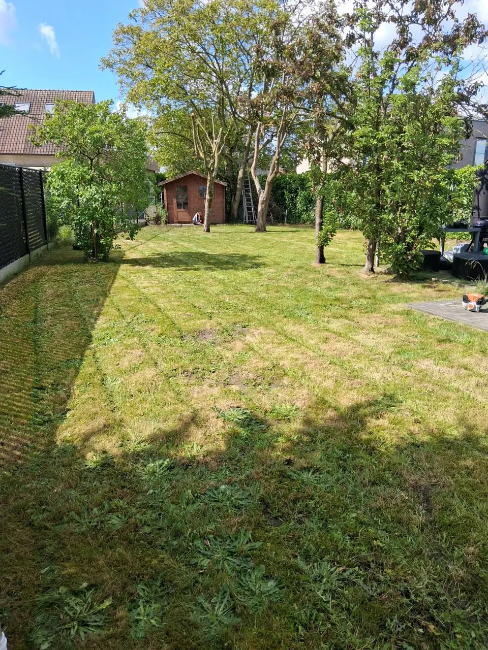 Gemaaide achtertuin met fruitbomen en tuinhuis