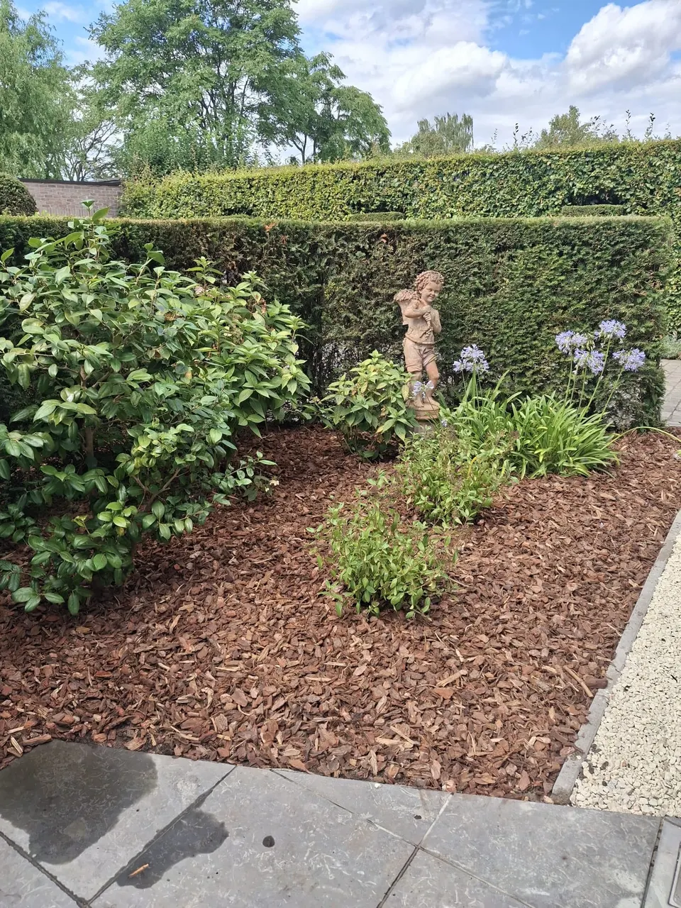 Border met heesters, agapanthus en een tuinbeeld voor een taxushaag, afgewerkt met houtschors