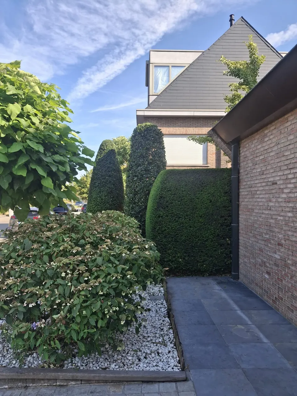 Gesnoeide struiken en zuilvormige taxus en ilex een voortuin
