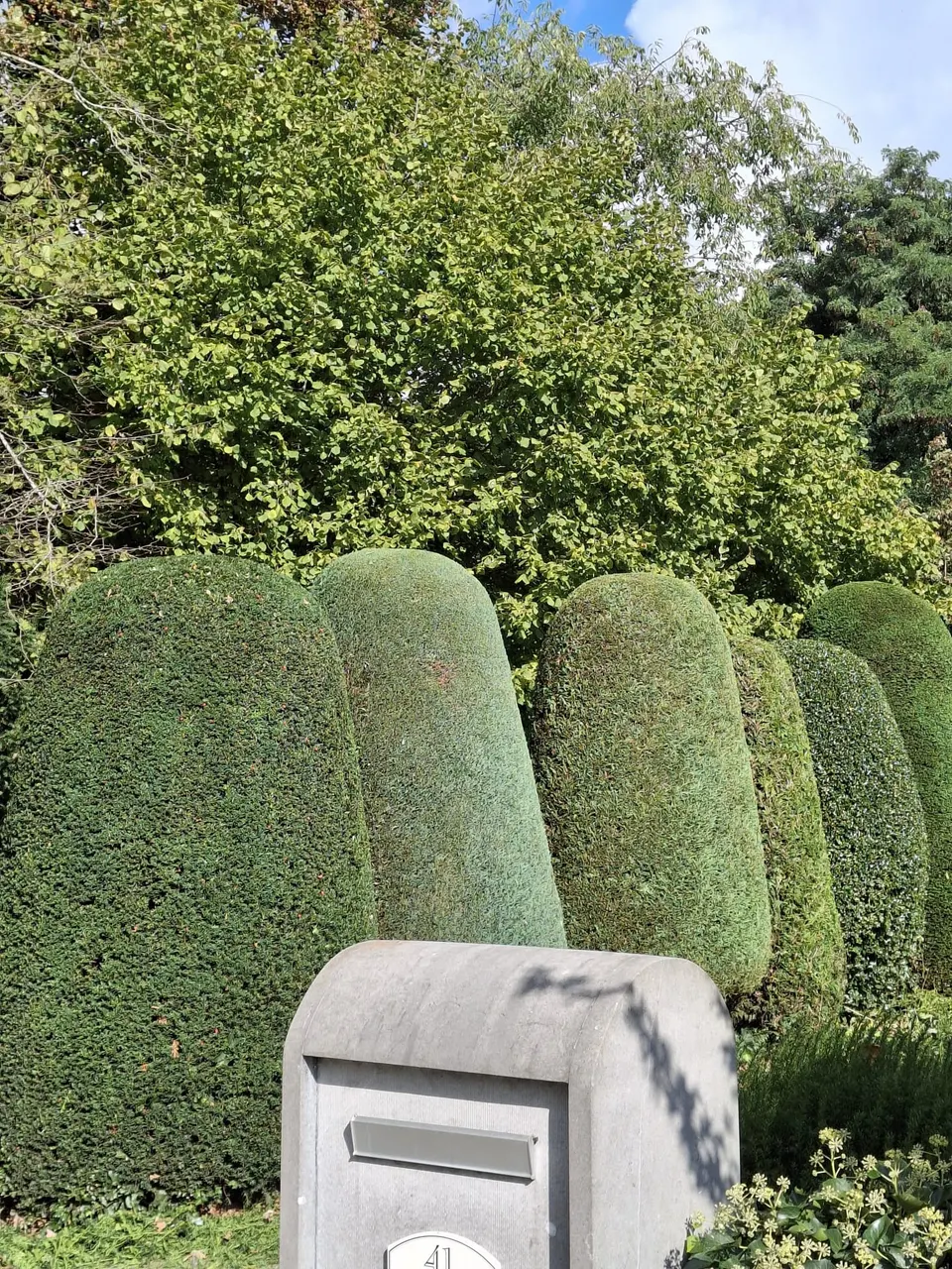 Vormsnoei van verschillende zuilen achter een betonnen brievenbus