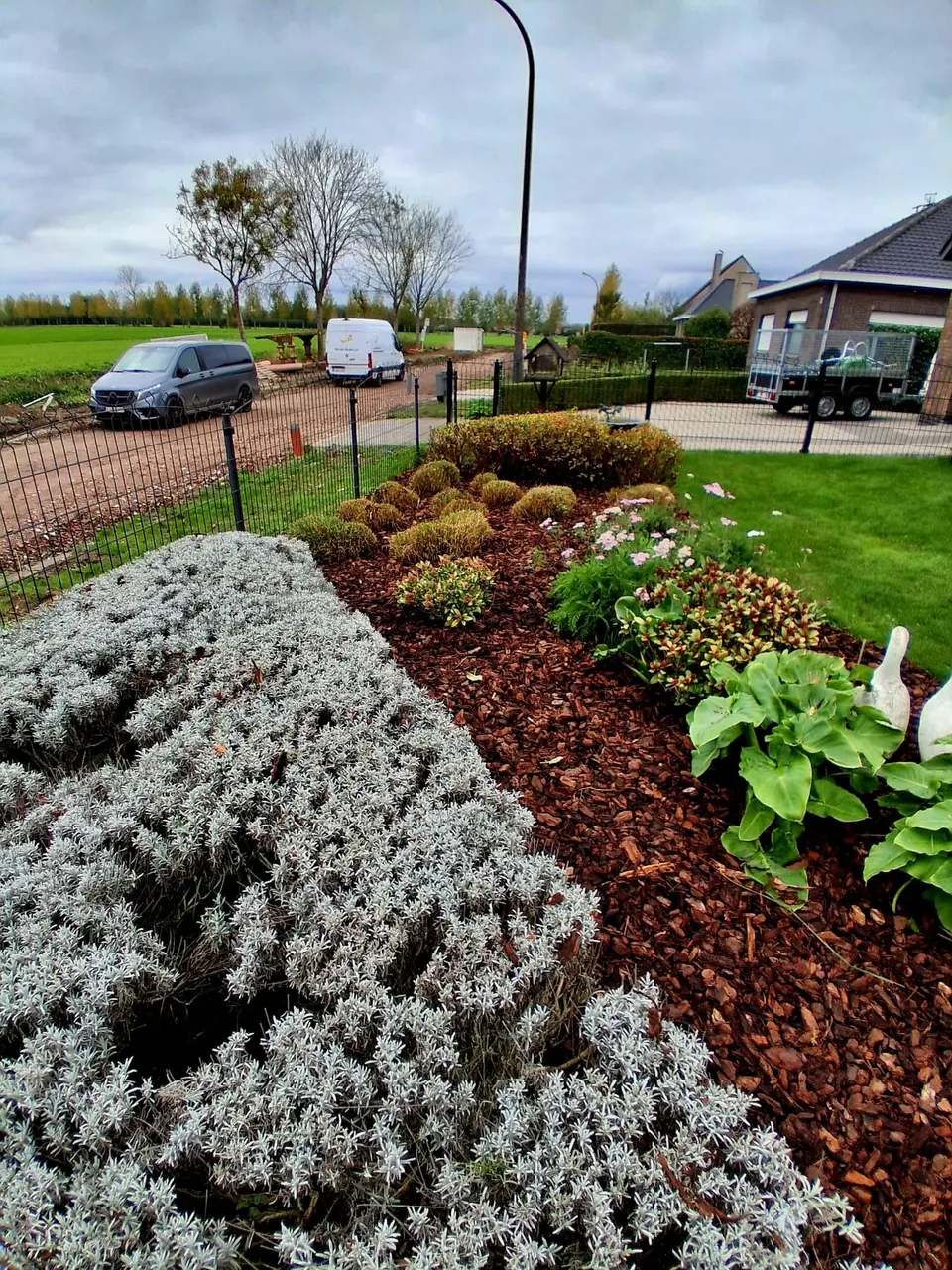 Voortuin met vaste planten in een bed van houtschors