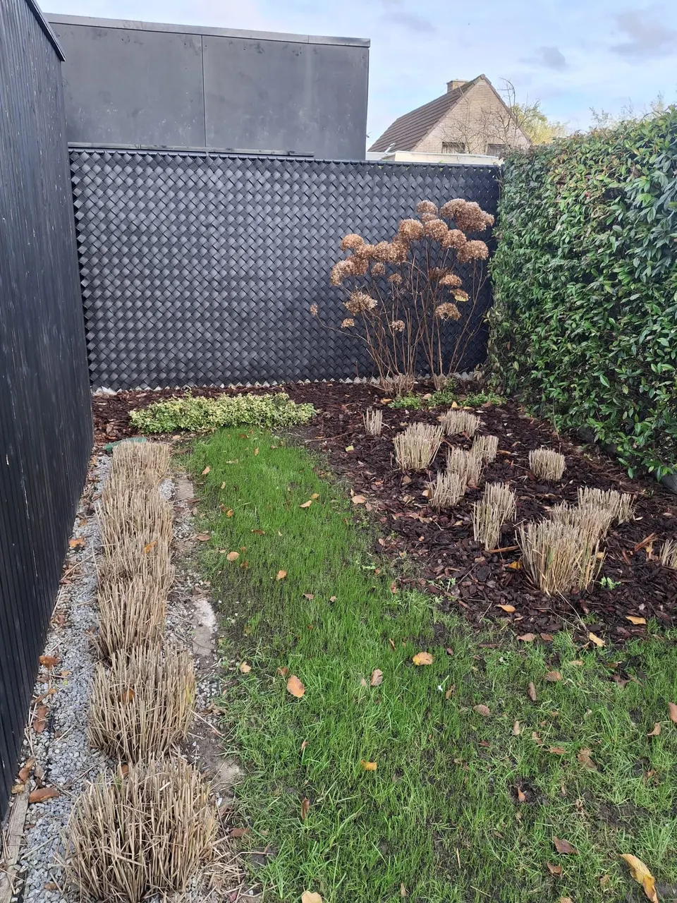 Draadafsluiting met zwarte lamellen achter een nieuwe border met siergrassen