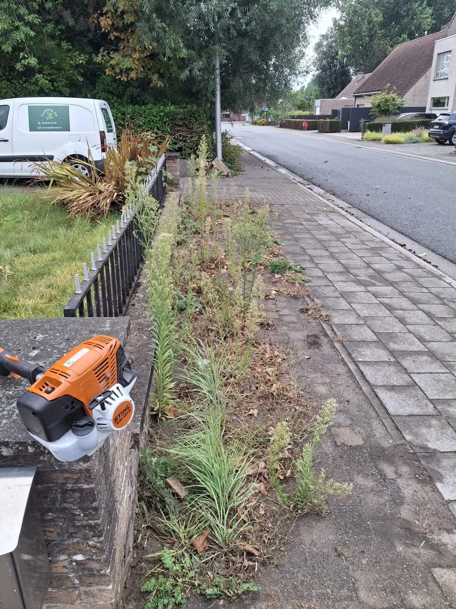 Border langs de stoep vol onkruid en hoog opgeschoten gras, voor de onderhoudsbeurt