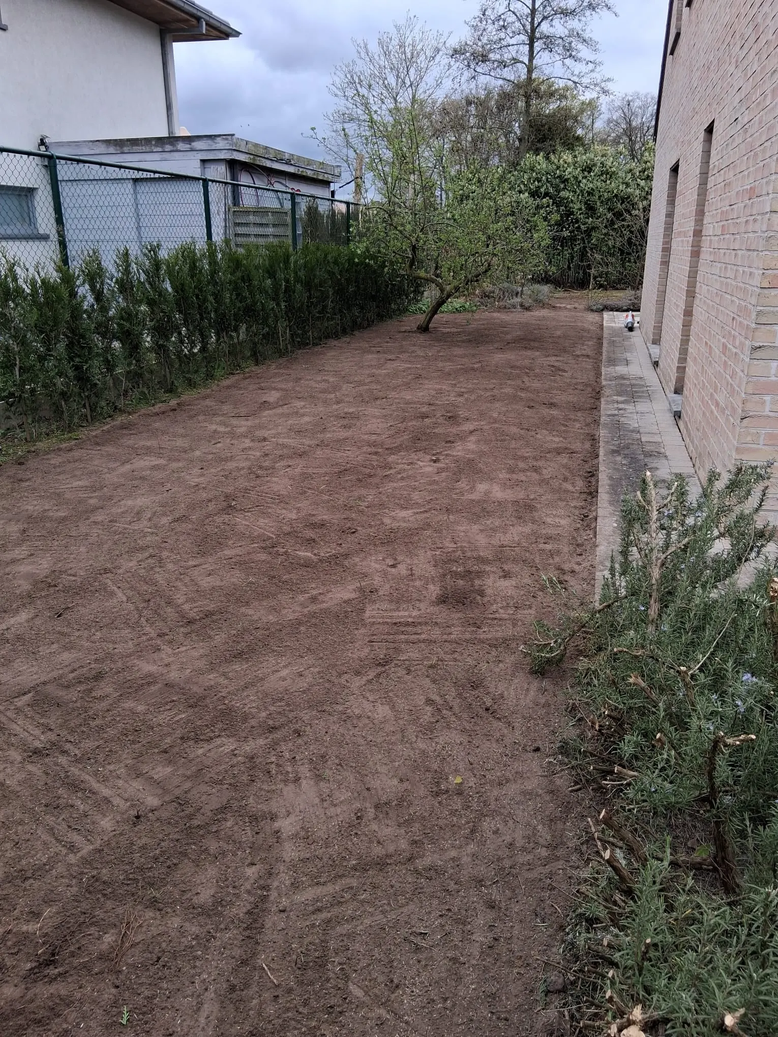 Afpellen, nivelleren en herinzaaien