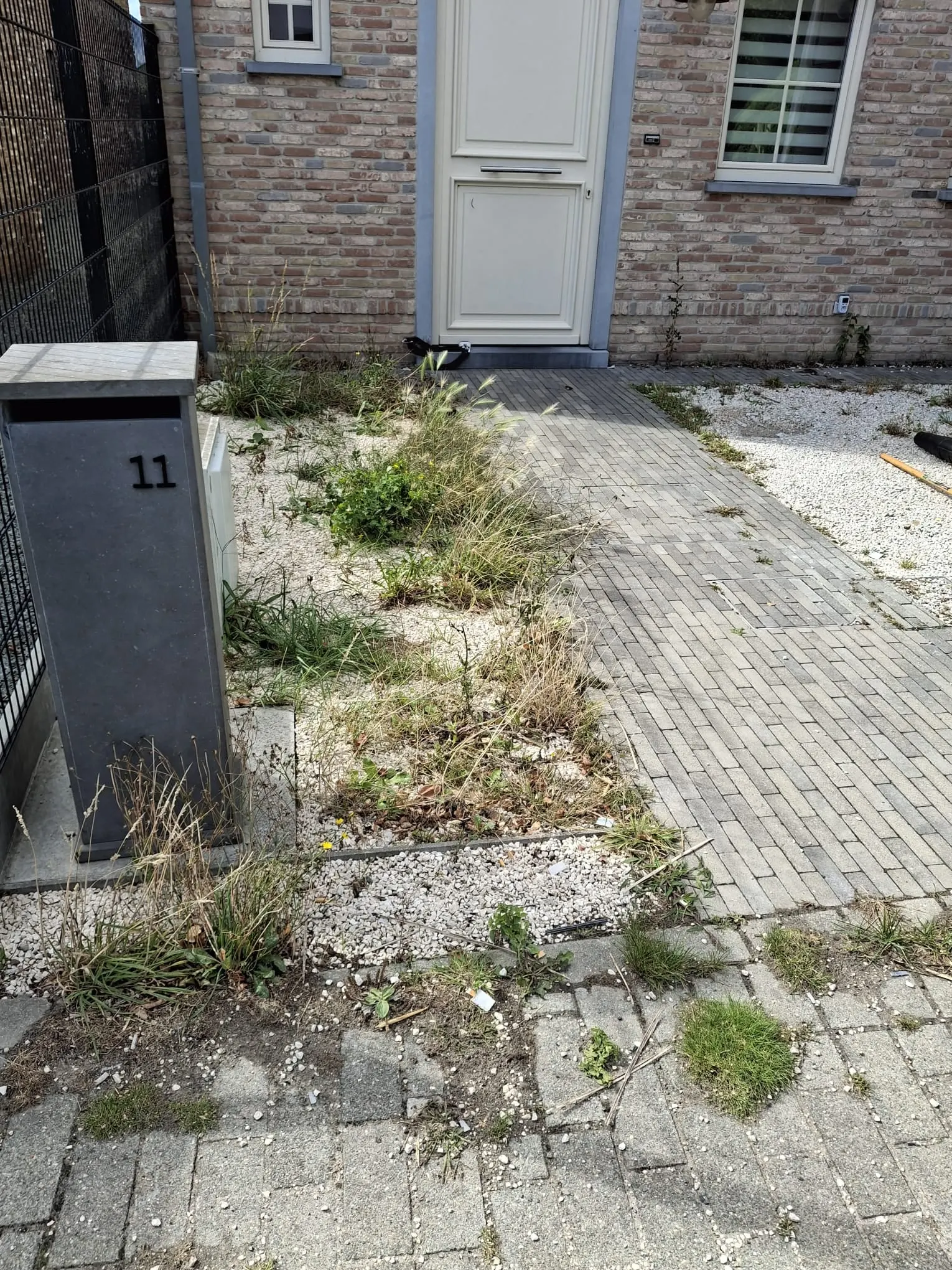 Voortuin vol onkruid en gras tussen het grind en de klinkers, voor de onderhoudsbeurt